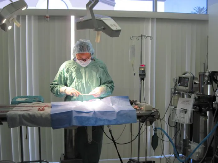 VCA A Breed Apart Animal Hospital Picture 8
