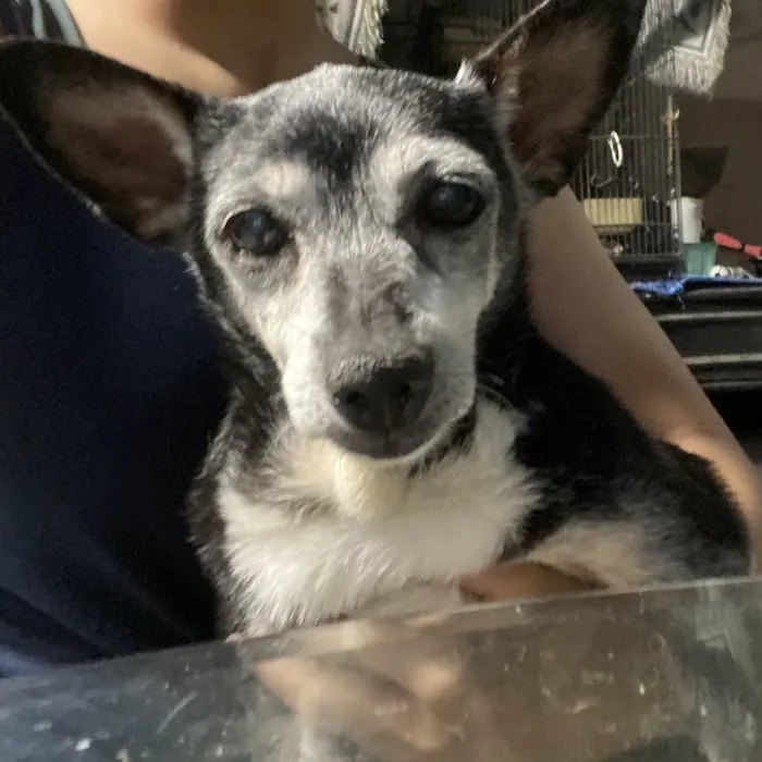 Vetco Total Care Animal Hospital Picture 1