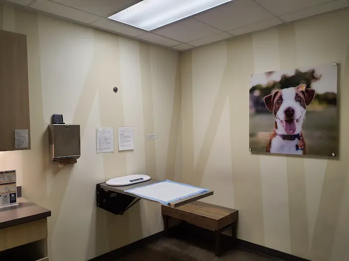 Vetco Total Care Animal Hospital Picture 2
