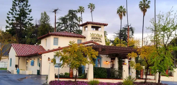 Vet Villa Animal Hospital Picture 8