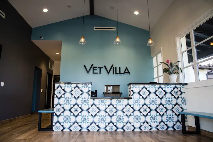 Vet Villa Animal Hospital Picture 10