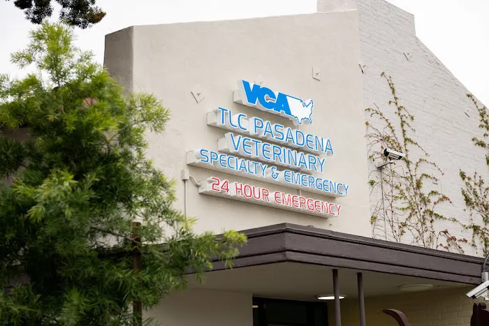 VCA TLC Pasadena Veterinary Specialty and Emergency Picture 5