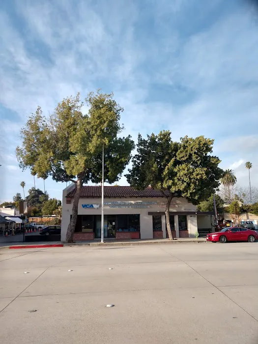 VCA TLC Pasadena Veterinary Specialty and Emergency Picture 10