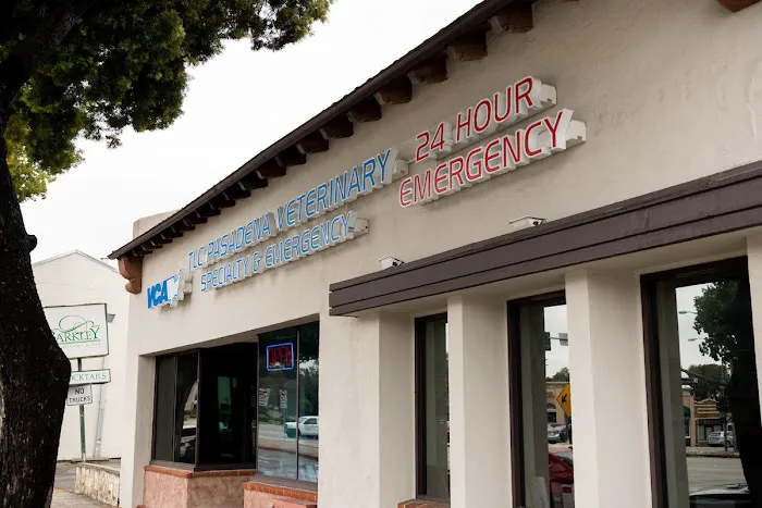 VCA TLC Pasadena Veterinary Specialty and Emergency Picture 7