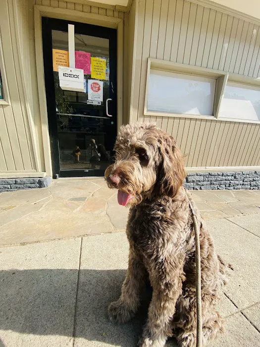 Affordable Animal Hospital Silver Lake Picture 7
