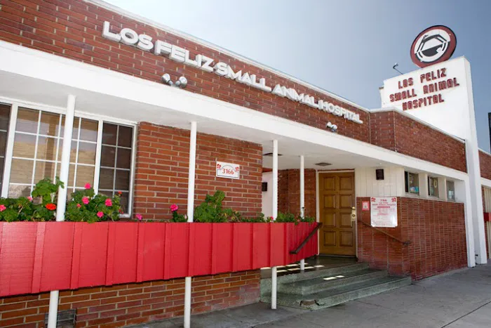 Los Feliz Small Animal Hospital Picture 6