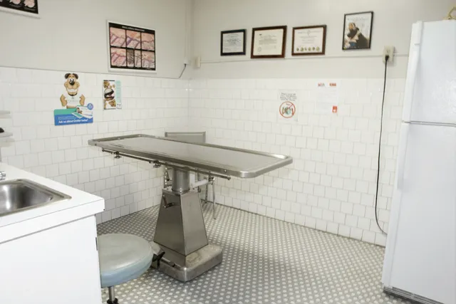 Los Feliz Small Animal Hospital Picture 8