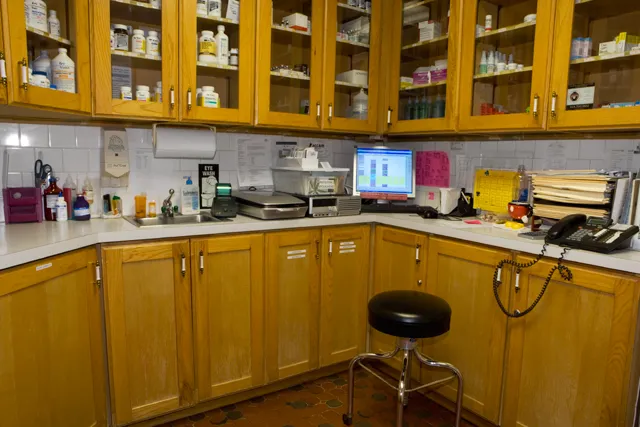Los Feliz Small Animal Hospital Picture 9