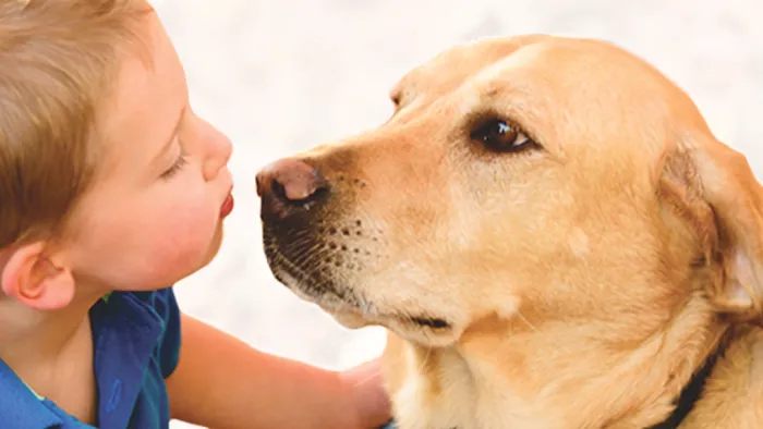 Los Feliz Small Animal Hospital Picture 10