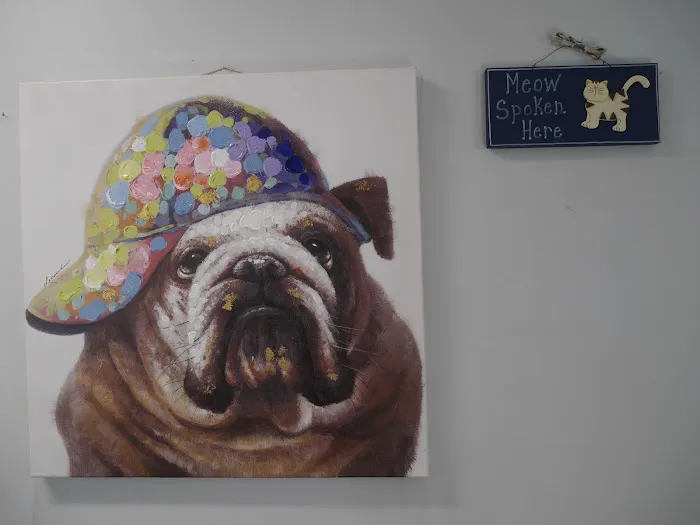 Avenue 26 Small Animal Hospital Picture 10