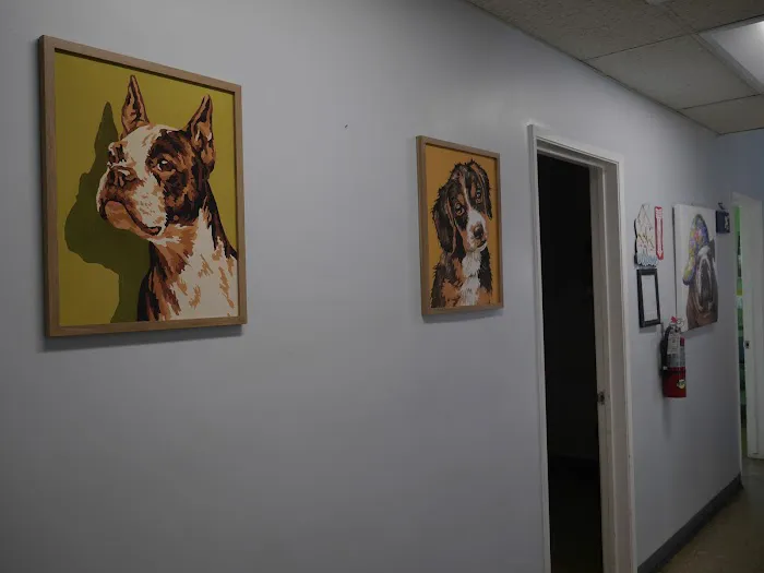 Avenue 26 Small Animal Hospital Picture 9