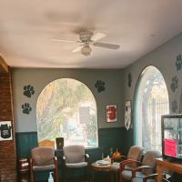 L A Central Animal Hospital ico