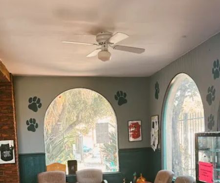 L A Central Animal Hospital