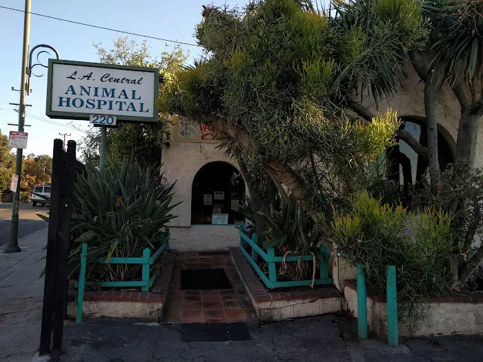 L A Central Animal Hospital Picture 2