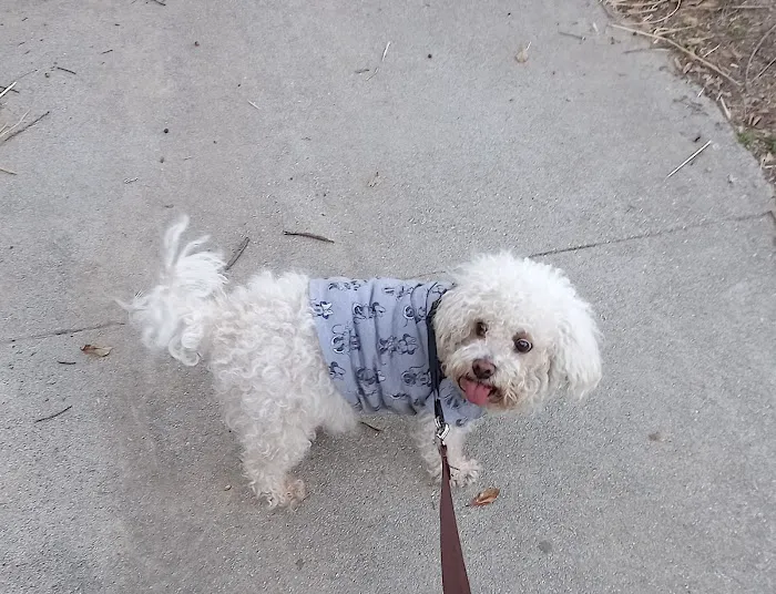 L A Central Animal Hospital Picture 5