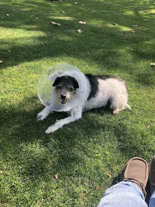 South Pasadena Animal Hospital Picture 3