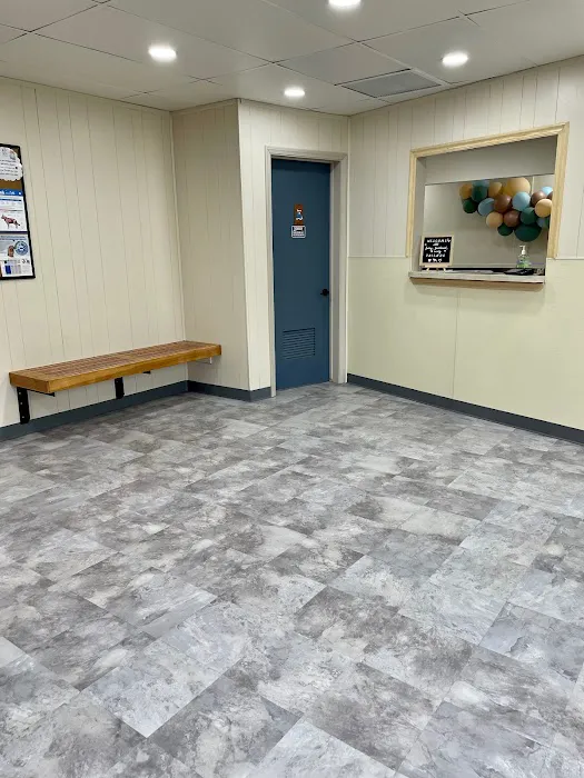 South Pasadena Animal Hospital Picture 6