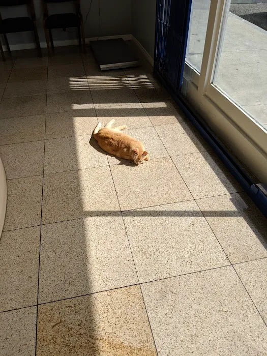Sunset Animal Hospital Picture 8