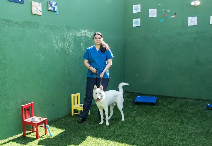 Hollywood Cat And Dog Hospital Picture 9