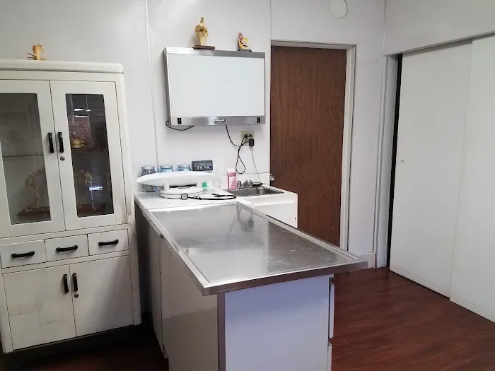L.A. Pet Clinic Picture 4