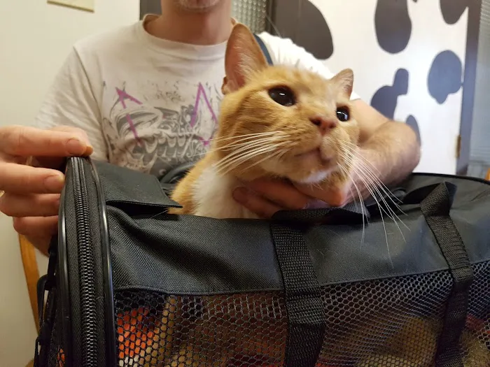 L.A. Pet Clinic Picture 6