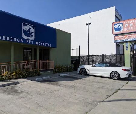 Cahuenga Veterinary Hospital