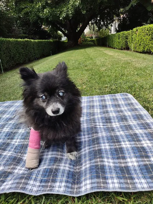 Cahuenga Veterinary Hospital Picture 7