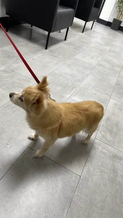 Cahuenga Veterinary Hospital Picture 10