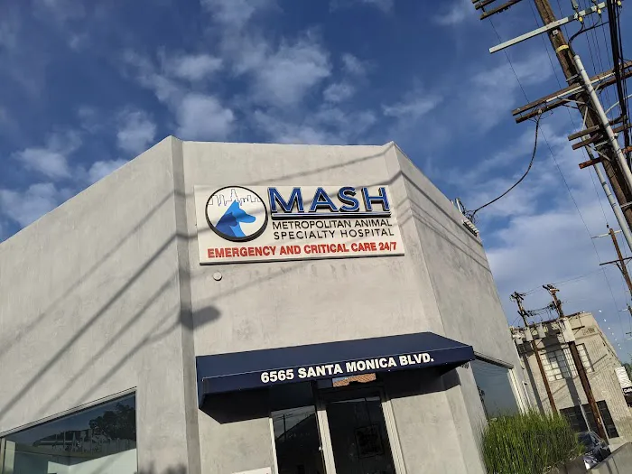 Metropolitan Animal Specialty Hospital (MASH) Picture 1