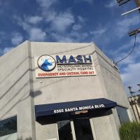 Metropolitan Animal Specialty Hospital (MASH) ico