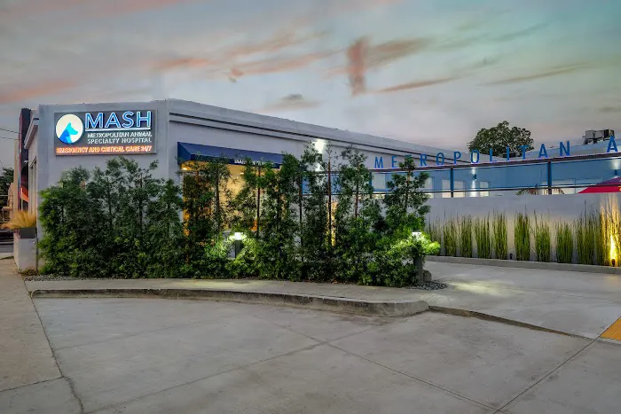 Metropolitan Animal Specialty Hospital (MASH) Picture 10
