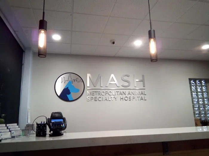 Metropolitan Animal Specialty Hospital (MASH) Picture 9