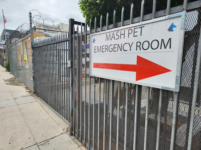Metropolitan Animal Specialty Hospital Outpatient Picture 8
