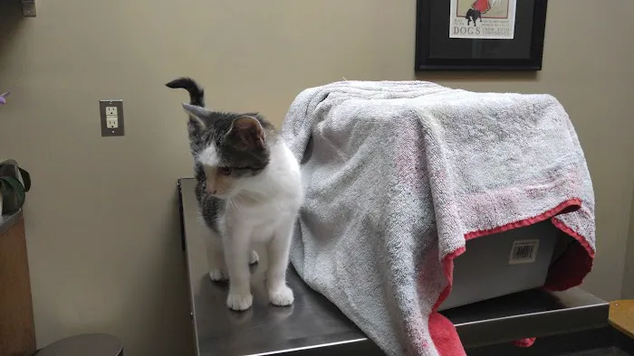 Veterinary Care Center Picture 7