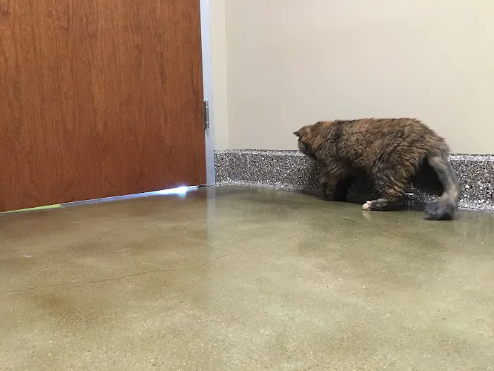 Veterinary Care Center Picture 6