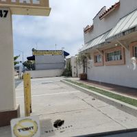 Bay Cities Pet Hospital Inc: Rios Norma J DVM ico