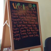 VCA Clarmar Animal Hospital ico