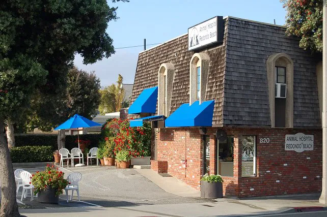 Animal Hospital of Redondo Beach Picture 9