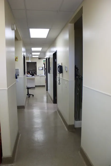 Redondo Shores Veterinary Center Picture 8