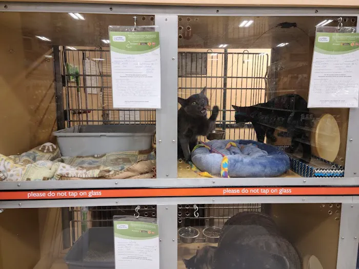 Banfield Pet Hospital Picture 5