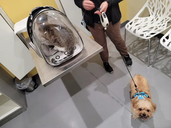 Grand Park Animal Hospital Picture 2