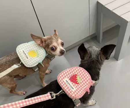 Grand Park Animal Hospital