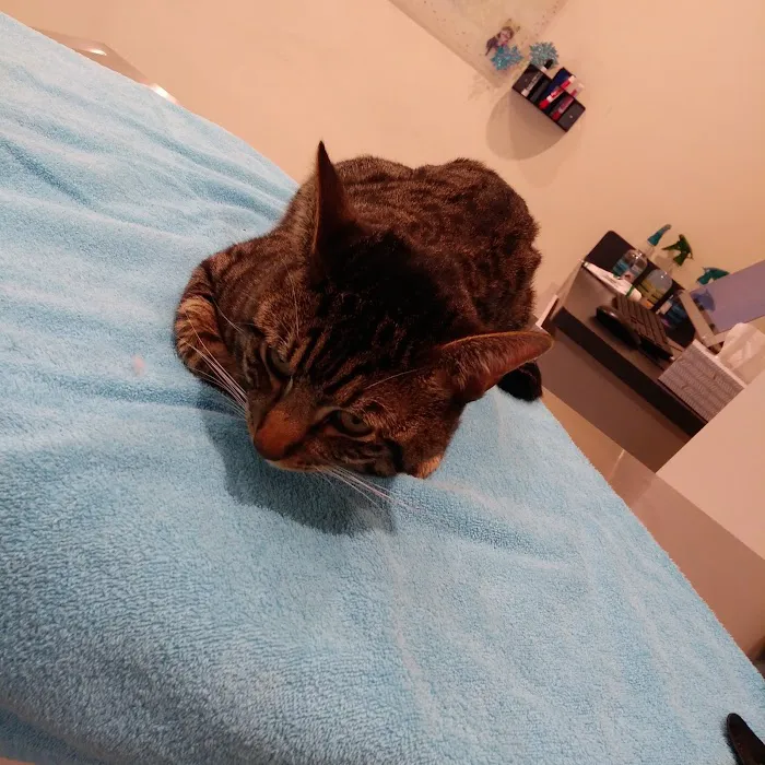Grand Park Animal Hospital Picture 4