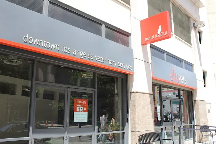 DTLAvets - Wellness and Urgent Care Services Picture 5
