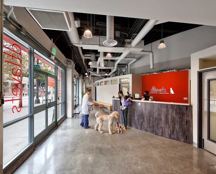 DTLAvets - Wellness and Urgent Care Services Picture 8