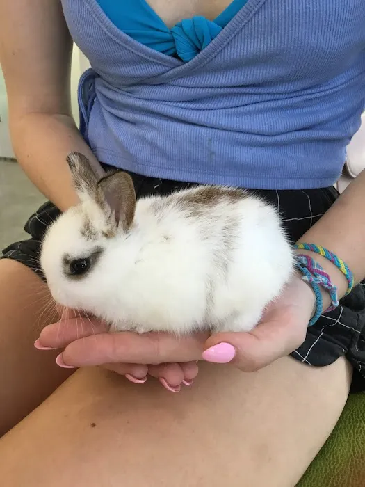 Little Tokyo Pet Clinic Picture 8