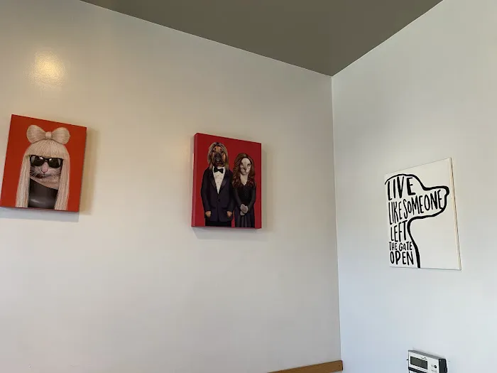 Los Angeles Veterinary Center Picture 4