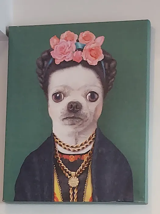 Los Angeles Veterinary Center Picture 7