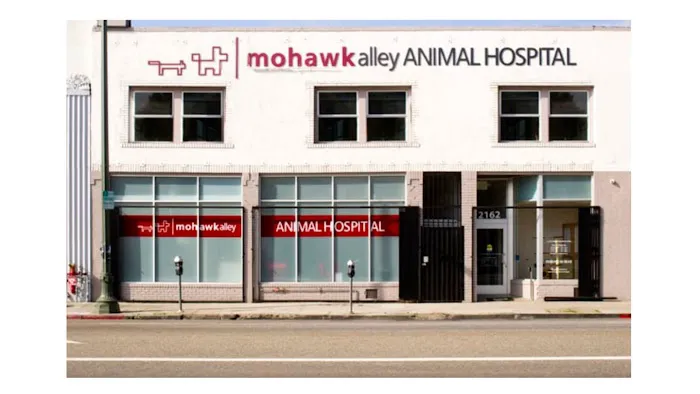 Mohawk Alley Animal Hospital Picture 6