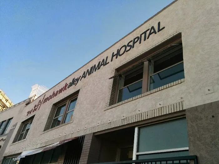 Mohawk Alley Animal Hospital Picture 5